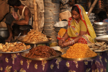 A woman in a traditional sari sells different varieties of Indian sweets at a local street stall in India © Jeremy Richards