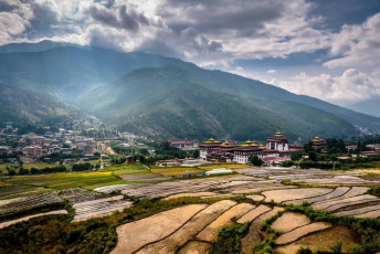 Paddy fields cover the area above the Thimphu Dzong, the Fortress of Auspicious Doctrine. Some 28% of cultivatable land in Bhutan is used for the production of rice