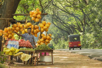 A fruit vendor displays his fresh produce on the side of the road. Because of its varied climate and elevation, a large variety of fruit is grown in Sri Lanka, including papaya, watermelon, pineapple and mango © Tunart