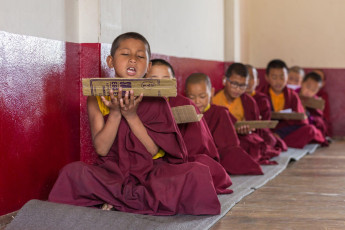 Young novice monks at their lessons in the Tsuglakhang Monastery in Gangtok, Sikkim. Inside the complex is the imperial Gompa of the former royal family of Sikkim © Aliaksandr Mazurkevich