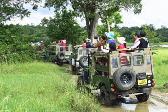 Visitors eager to spot wildlife on a Jeep safari in Minneriya National Park, Sri Lanka © Fmajor