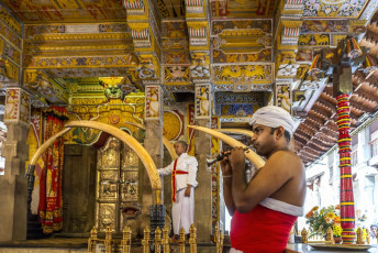 At the magnificent Temple of the Sacred Tooth Relic in Kandy a musician plays on a tusk instrument, Sri Lanka © pidjoe