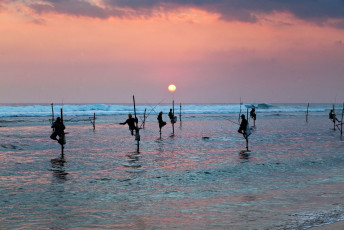 Traditional stilt fishermen keep perfect balance while waiting patiently for their catch. This picture was taken at sunset near Galle © melis82