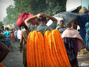 An early morning scene of the "Barabazar Flower Market” where a flower seller holding garlands of flowers on his shoulders brings them to his shop, situated near Howrah Bridge, Kolkata, India. © Shooting Sinha / Kolkata Darjeeling Sikkim Tour
