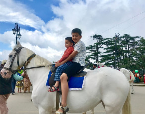 Brothers ride together on this white horse at the Mall Road Shimla in the state Himachal Pradesh © Nisha S / Shutterstock