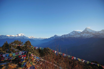 A typical Nepalese mountain landscape with snowcapped peaks catching the last rays of the sun with prayer flags in the foreground © Chettarin