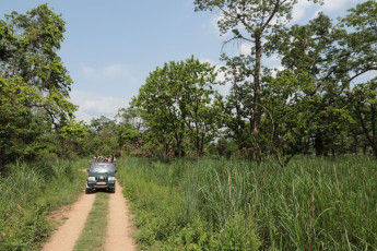 A jeep carrying tourists ride in Chitwan National Park on the lookout for wild animals. The park offers a number of activities including elephant safaris, walks and boat rides © Socha