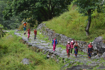 Gurung women from the Ghandruk village on their way to work walk along a stone path. This hill people make up the largest ethnic group in the Himalayan Mountains and refer to themselves as Tamu © salajean