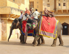 Foreign tourists enjoy the elephant ride under the guidance of mahouts at Fort Amber, Jaipur, Rajasthan, India © Kokhanchikov