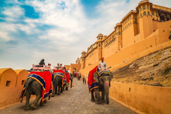 Tourists enter the Amber Fort in Jaipur, a UNESCO World Heritage Site, on the backs of elephants decked out in colorful fabrics and decorations, Rajasthan, India © Roop_Dey