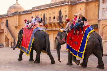 Elephants in bright robes transport foreign tourists at Amber Fort, Jaipur. The ride starts at the carpark, continues up the steep incline and ends at the Jaleb Chowk courtyard at the entrance of the fort