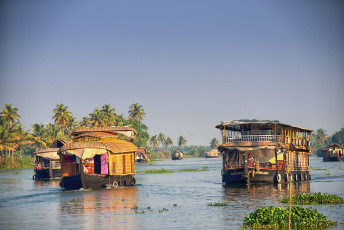 Houseboats at the Kerala backwaters take tourists through a ride across the overlapping water bodies.