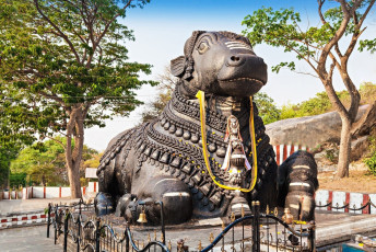 The statue of Nandi, Lord Shiva’s beloved cow, outside the Chamundi Hills in Mysore for visitors to seek blessings from. ©SAIKO3P
