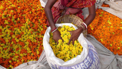 A flower seller spreads out golden and orange marigold flowers outside the Meenakshi Temple in Madurai where visitors can buy them as offerings for teh deity.