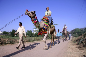 Riding a camel is a great way for visitors to view Pushkar, the holy city in this part of India. © Paul Prescott