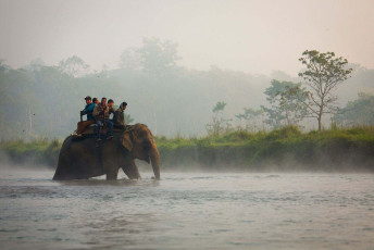 An Elephant safari with travelers seated high on the back of a trained elephant, exploring the grassland and core area of the park on a foggy day through a pond in Chitwan National Park, Nepal © Damn12