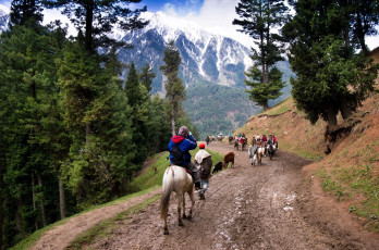 A number of tourists enjoy a ride on horses that takes them into the hill forest up in the Pahalgam Valley which is also known as the Valley of the Shepherds in Pahalgam, Kashmir, India © Tappasan Phurisamrit