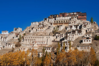 A wonderful view of the Thiksey Monastery which is the largest monastery in the region captured under the deep blue sky in Leh, Ladakh, India © szefei
