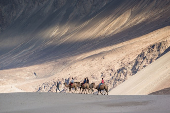 An ecstatic snow-capped view of the Nubra Valley wherein the tourists ride camels in the Hunder village in Ladakh, Jammu and Kashmir, India © Annop Itsarayoungyuen