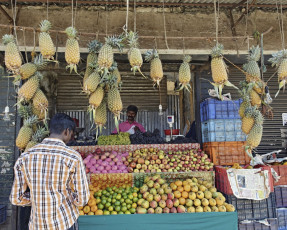 A scene of a roadside fruit stand which sells different varieties of fruits, wherein an Indian man purchases fruits on the main road in Sultan Bathery, which is a town in the Wayanad district of Kerala, India © brytta