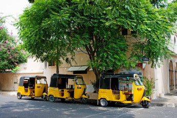 Three yellow and black colored Auto rickshaws or Tuk-Tuks stationed in the residential area of Pondicherry (Puducherry) in India © Byelikova Oskana