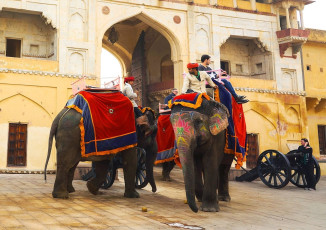 Elephants adorned with paint and clothes carry commuters with its riders through the Amber Fort gate in Jaipur, Rajasthan, India. © Moroz Nataliya