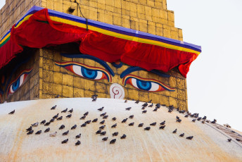 A huge number of birds resting on the Boudhanath Stupa which is a top attraction in Kathmandu, Nepal. The stupa is also a recognized UNESCO site as well © cybervelvet