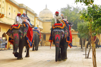 Tourists getting a royal elephant ride at the Amber Fort in Jaipur. @ Moroz Nataliya