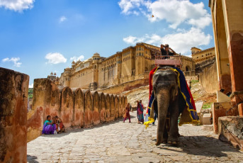 One of the colorfully dressed elephants many tourists enjoy riding up to the entrance of Amer Fort in Jaipur, Rajasthan - Photo By  Olena Tur