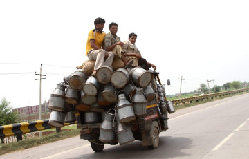 A tuk-tuk carrying a large number of milk churns with men sitting on top of it transports the milk on the way to Agra. © Zeber