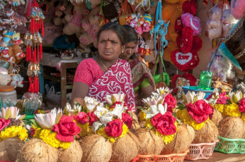 A local woman who runs her shop selling offerings for the deity like flowers and fruits to visitors at the Meenakshi Temple, Madurai. © milosk50