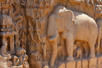 Relief carvings on the walls of a temple in Mamallapuram, South India, dating back to the 7th century depicting a scene from the Mahabharata. © Jori