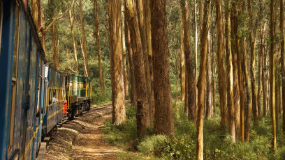 Nilgiri Mountain Railway Ooty. Take a scenic train ride in India ©  chrisontour84 / Shutterstock