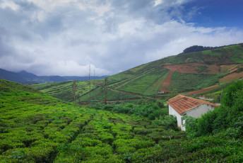 A small cabin for resting at the tea plantations at Coorg, India © Pronoy Banerjee / Shutterstock