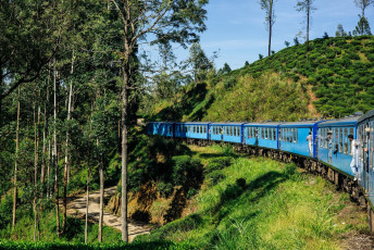 The train ride from Nuwara Eliya to Kandy takes the visitor through the beautiful highland scenery of Sri Lanka. It is known as one of the most spectacular train rides on the planet © Denis Filatov