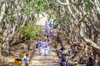School students walk to the ancient Mihintale Temple in Anuradhapura. In Sri Lanka the majority of schools require students to dress in uniforms © travelview