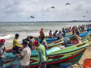 Fishermen sorting their nets on Negombo Beach while sea birds hover above in search of fish, Sri Lanka © pidjoe