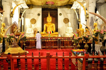 A devotee prays inside the Temple of the Sacred Tooth Relic in Kandy. It is located in the former Royal Palace Complex and is of great significance to Buddhist from all over the world © alxpin
