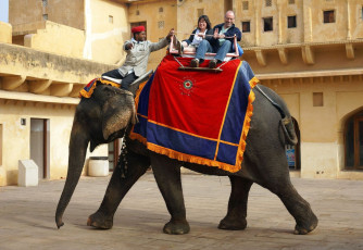 Two foreigners wave as they take an elephant ride at Amber Fort in Jaipur, Rajasthan. © Moroz Nataliya