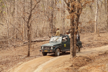 A tourist jeep at the Pench National Park halts on the way for sighting tigers during its game drive © Ajay Kumar Singh