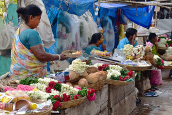 A morning scene where Florists sell colorful flowers by setting their stalls in front of the Arunachaleshwar temple, India. © Ajayptp