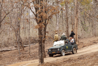 Tourists on a game drive in a safari Jeep scan the area for tigers. Pench National Park in the Seoni district, Madhya Pradesh is renowned for its Bengal tigers