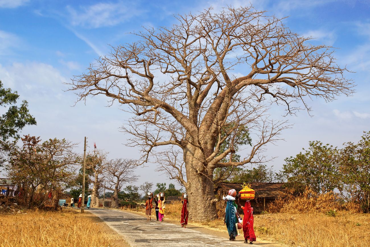 Scenic natural landscape in Mandu in the Indian state of Madhya Pradesh