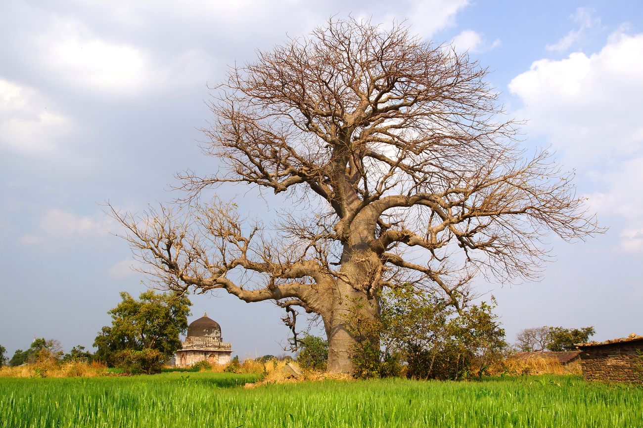 Scenic natural landscape