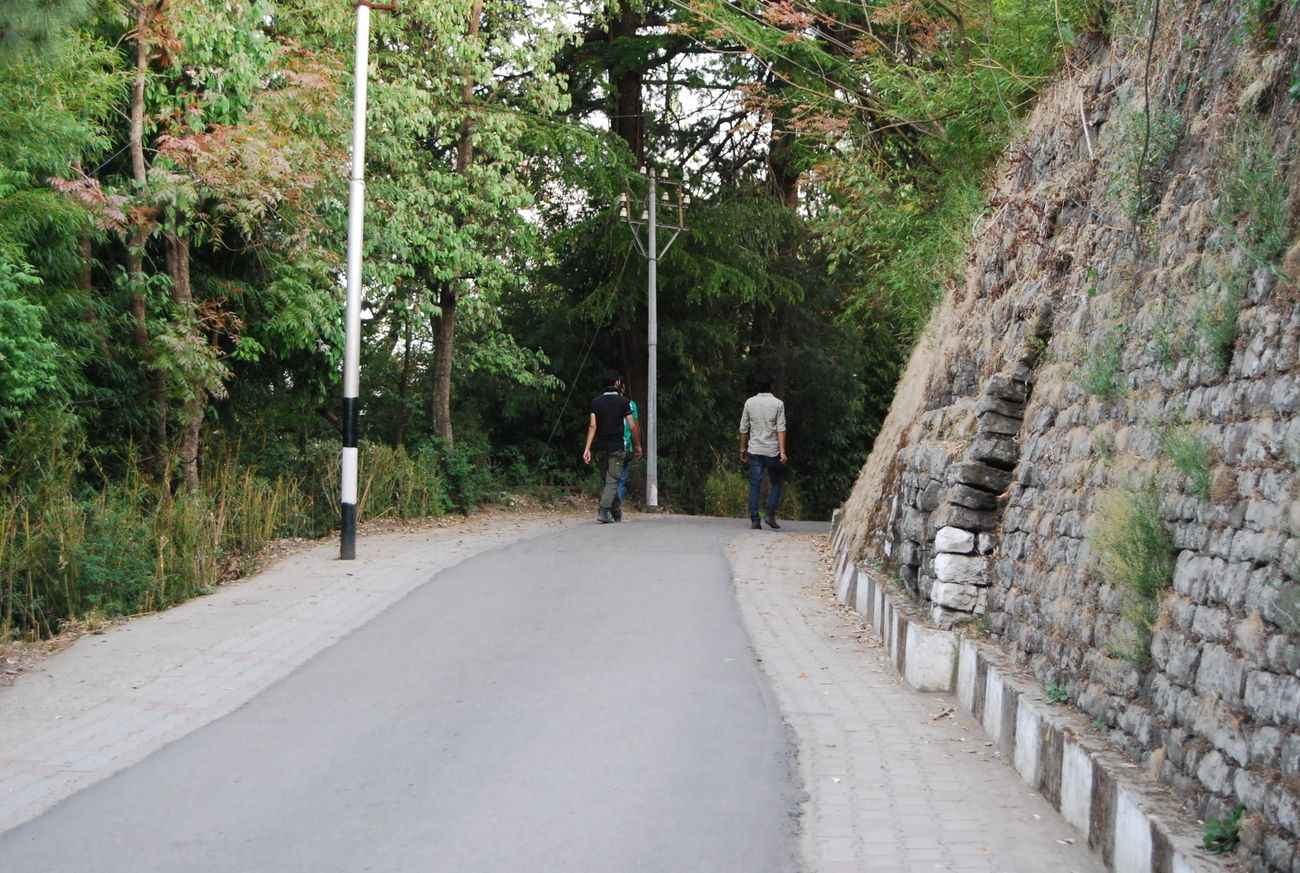 Every road through Kasauli, Himachal Pradesh tell a different story. You can go for a morning walk to discover the hills or go on a drive