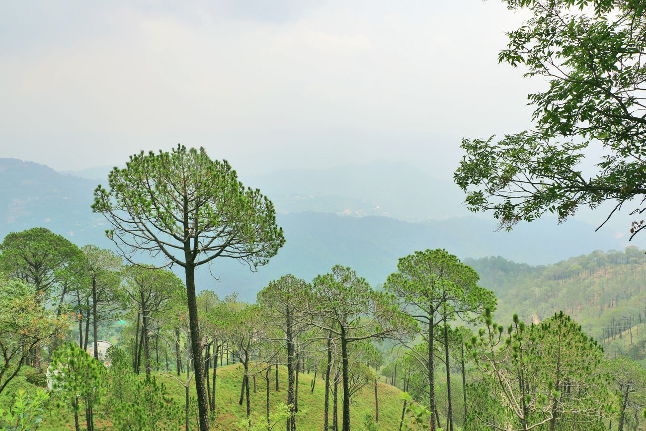 Kasauli is a beautiful hill station in Himachal Pradesh which is perfect to unwind, relax, and have fun -- away from the noisy city life