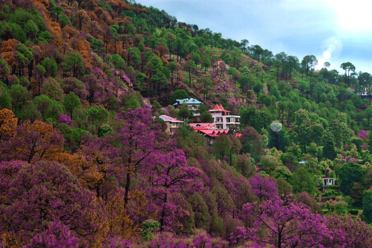 Kasauli is a town settled on the mountains and surrounded by lush greenery which make every view in the city absolutely stunning