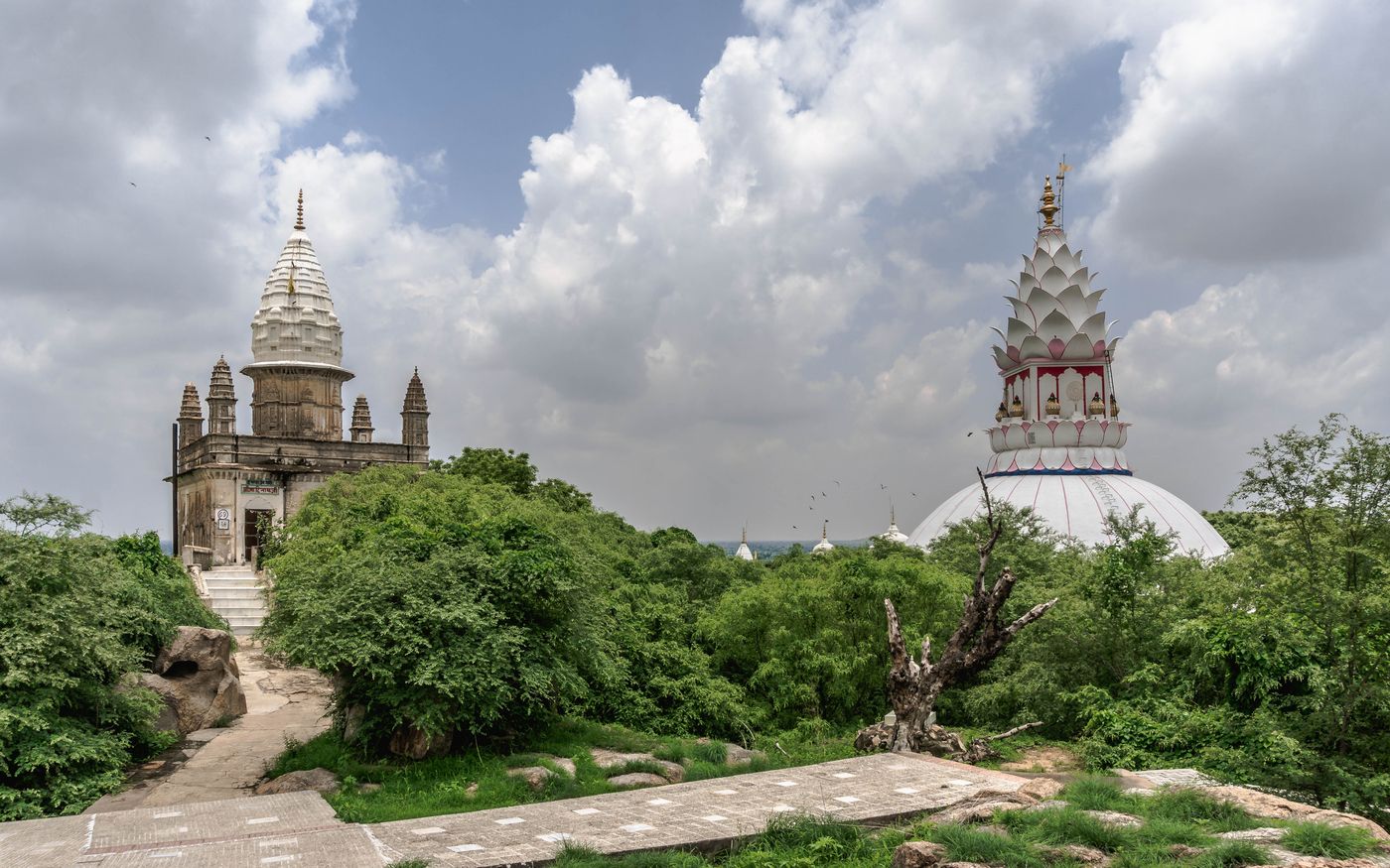 A panorama view of the magnificent spires of Jain Temples, dating back to the 9th century, situated in Sonagiri