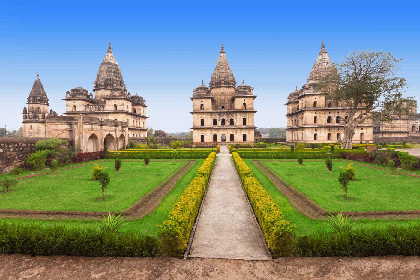 A wide shot of the regal temple complex at the Orchha city with its many dome-shaped roofs dating back the seventeenth century