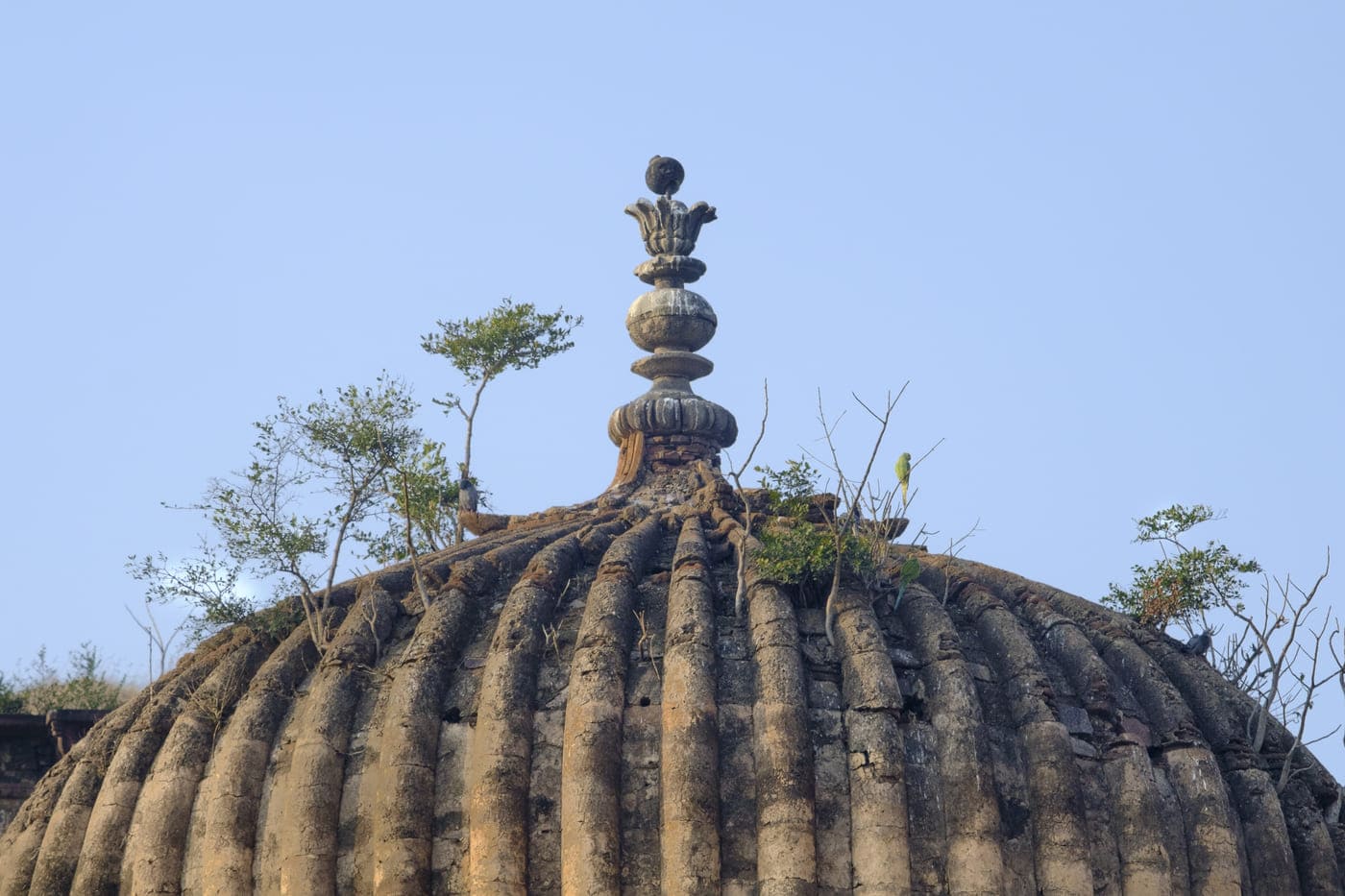 The elaborately carved chhatri or cenotaph is the reminder of the rule of the Bundela Kings in Madhya Pradesh centuries ago, Orchha 
